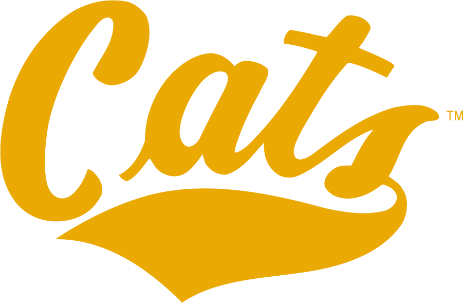 Montana State Bobcats 2006-2013 Wordmark Logo t shirts iron on transfers